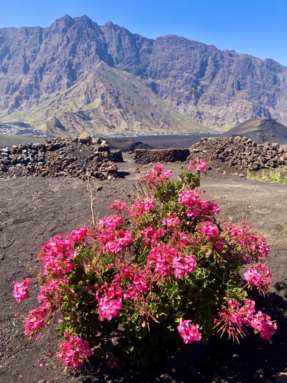 مبيت وإفطار Portela Ciza E Rose المظهر الخارجي الصورة